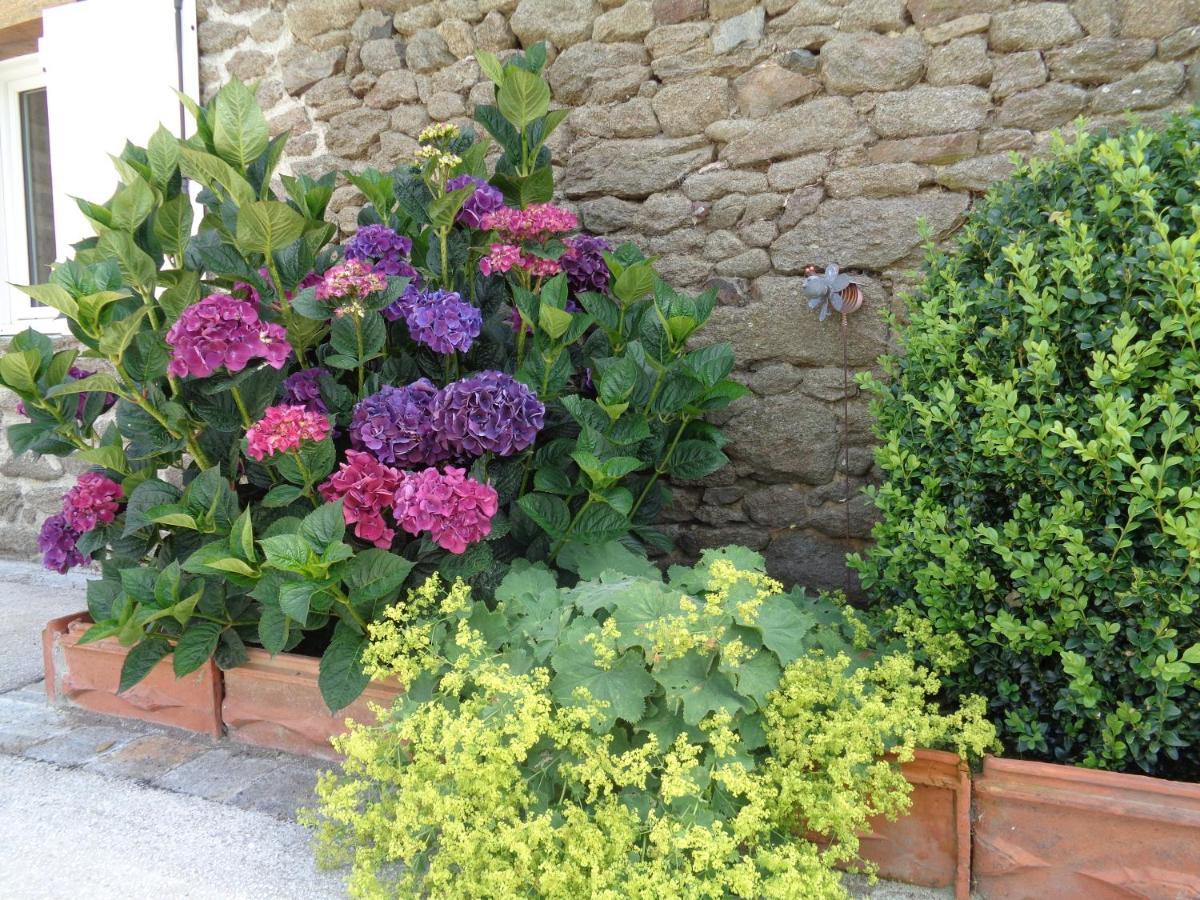 Ker Adsav Bed & Breakfast Saint-Pierre-de-Plesguen Dış mekan fotoğraf